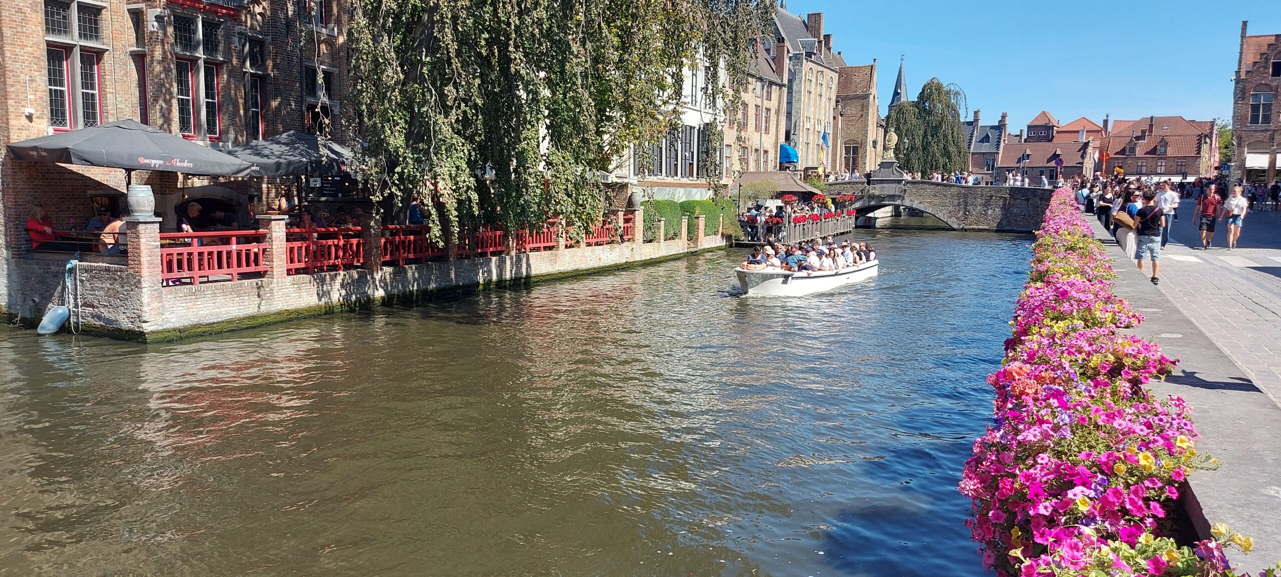 ‘Brugse Meesters’