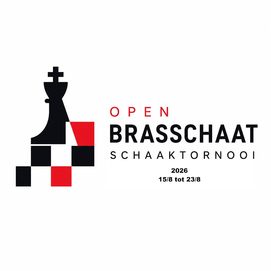 Schaken (g)een kunst